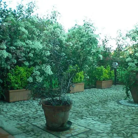 Apartamento Raffaello