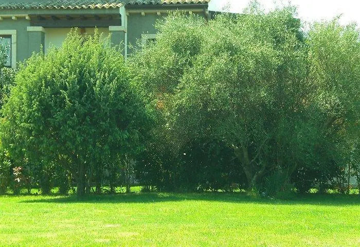 Raffaello *