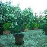 Apartment Raffaello