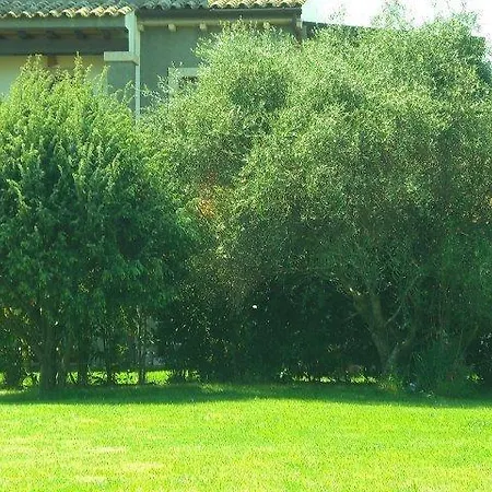 Raffaello *